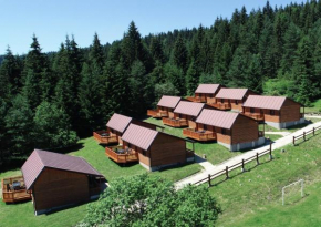  Holiday Park Orava Bungalows  Дольны Кубин